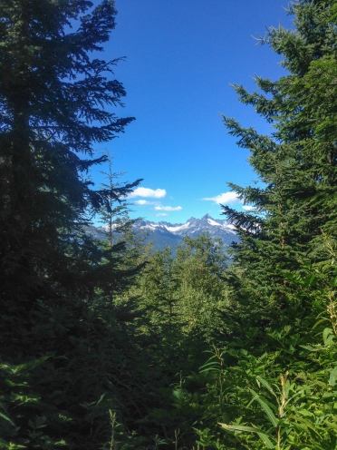 Occasional views of the Tantalus Range on the big climb